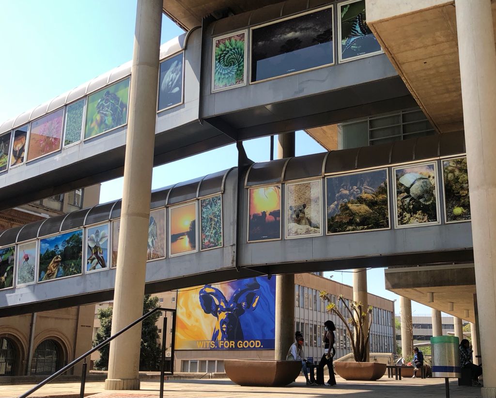 Wits Ranking Wits shrugs off low student perception ranking - Wits Vuvuzela
