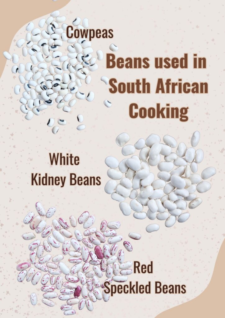 15_feature_food insecurity in SA